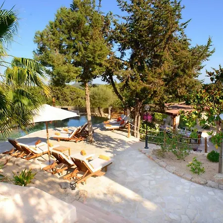 Vich Villa